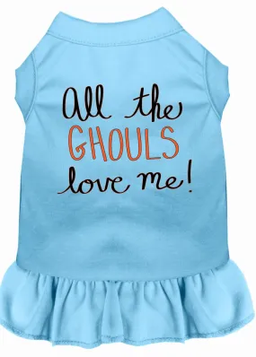 All The Ghouls Screen Print Dog Dress Baby Blue Xl (16)