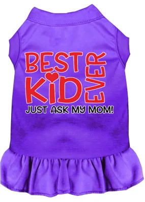 Ask My Mom Screen Print Dog Dress Purple Xxl (18)