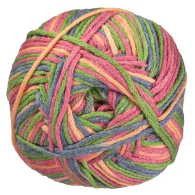 Berroco Comfort Yarn - 9834 Pot-Au-Feu