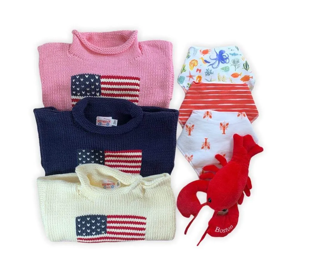 Navy American Flag Roll Neck Sweater